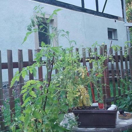 Zum Stillen Himmelbett In Lichtenwalde Niederwiesa ภายนอก รูปภาพ
